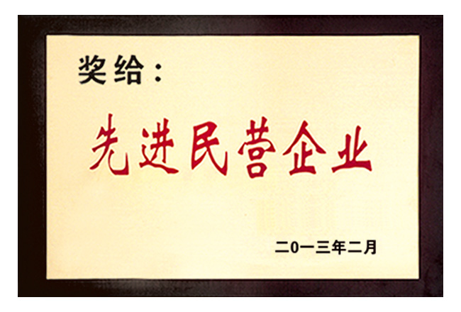 先进民营企业