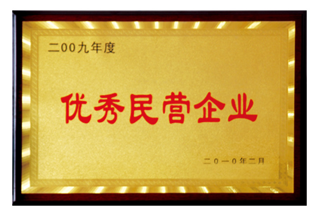 优秀民营企业